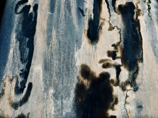 Illustration de l'article : Traitez rapidement et sans danger la moisissure qui s’installe chez vous