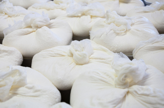 Illustration de l'article : Un délicieux fromage à tartiner à préparer à la maison