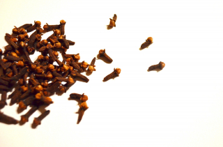 Illustration de l'article : Un produit répulsif à vaporiser dans toute la maison pour se débarrasser des insectes