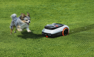 Illustration de l'article : Un robot tondeuse est-il la meilleure solution pour les grandes pelouses ?