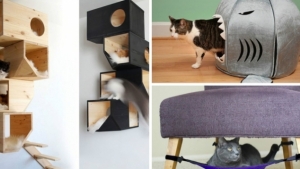 25 Idees Pour Agrementer Le Quotidien De Tous Les Chats 25 Idees Pour Agrementer Le Quotidien De Tous Les Chats
