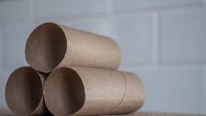 Illustration : "Recycler les rouleaux de papier toilette : 5 idées DIY pour la maison"