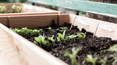 Illustration : 5 tâches à accomplir dès février pour un jardin florissant au printemps