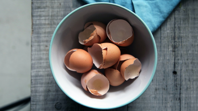 Illustration : Une astuce zéro déchet pour vos plantes avec des coquilles d’œuf et du marc de café