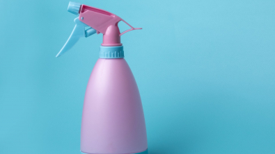 Illustration : "Un produit répulsif à vaporiser dans toute la maison pour se débarrasser des insectes"
