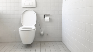 Illustration : "Toilettes propres et fraîches : nos conseils pour chasser les mauvaises odeurs naturellement"