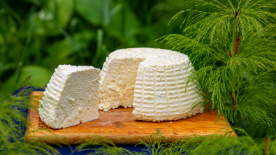 Illustration : Faites votre propre fromage en quelques étapes simples avec cette recette gourmande