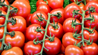 Illustration : "Tomates : nos conseils pour les conserver et profiter de leurs saveurs au maximum"