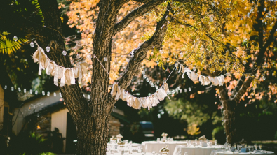 Illustration : Organiser une garden party conviviale sans exploser le budget