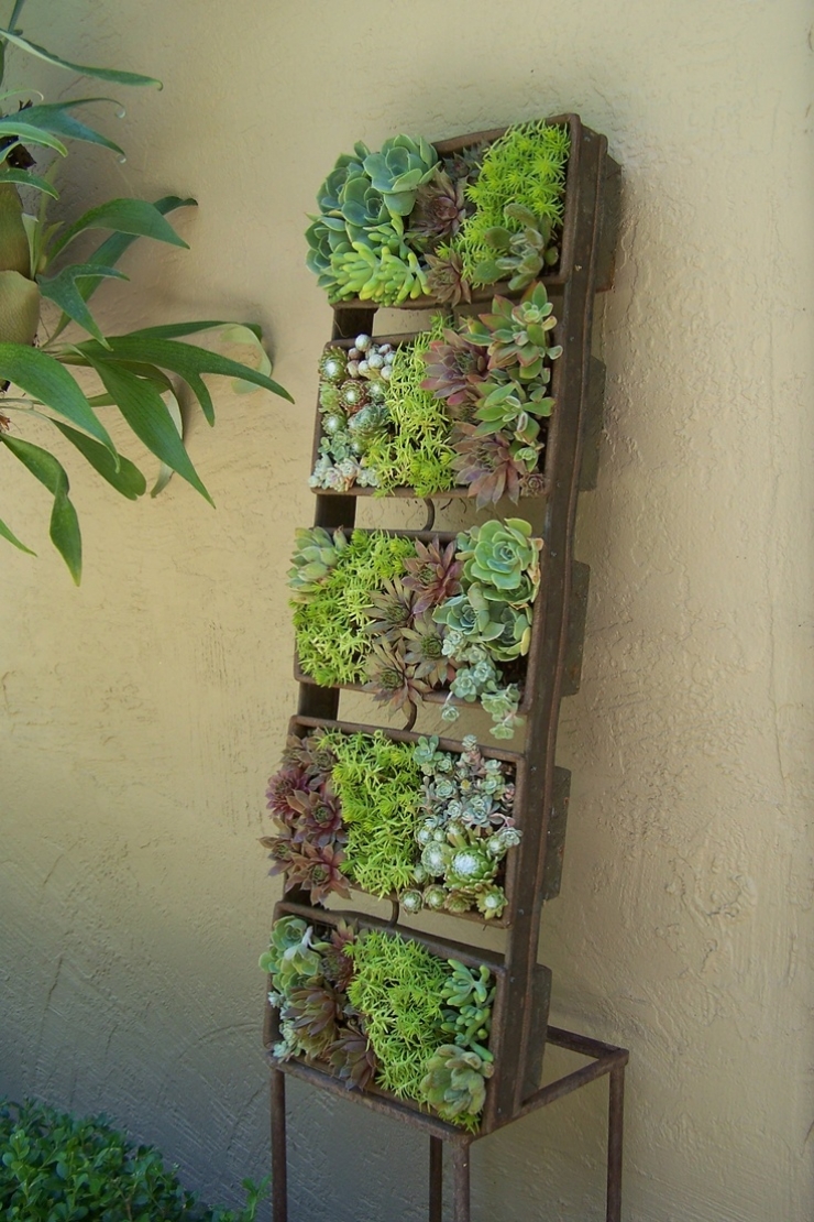 Illustration de l'article : 63 idées pour changer totalement la décoration de votre jardin