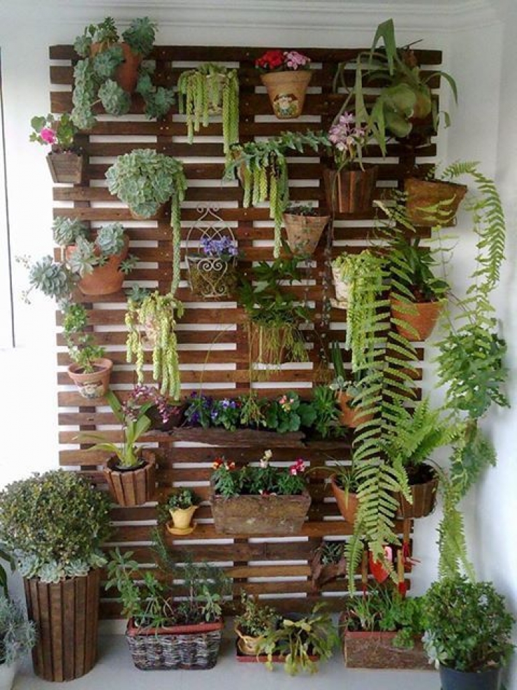 Illustration de l'article : 63 idées pour changer totalement la décoration de votre jardin