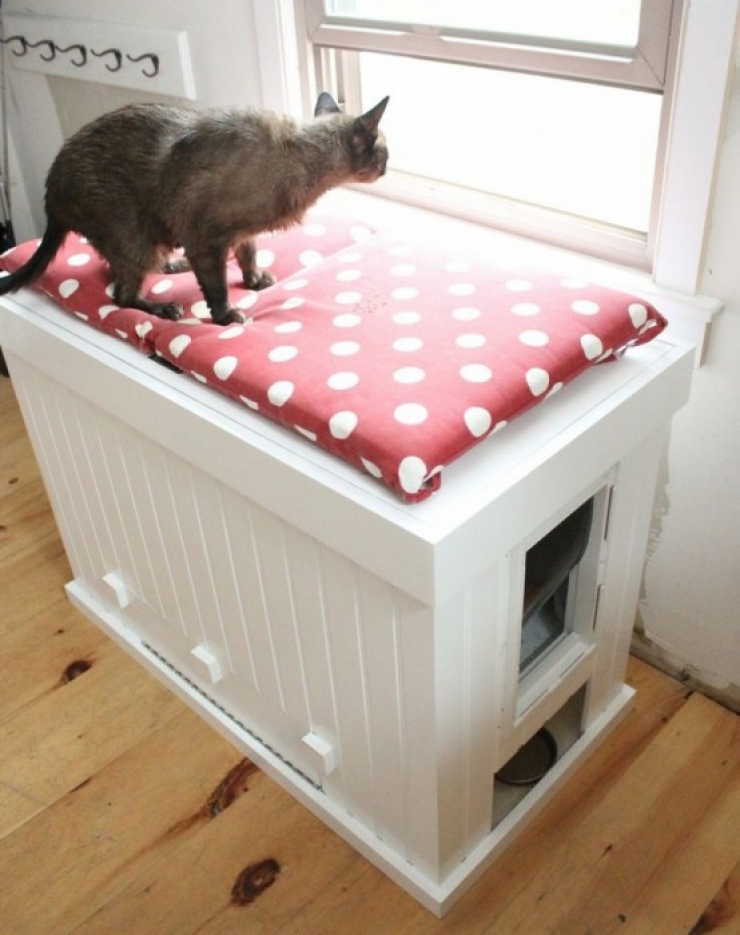 34 Solutions Pour Enfin Masquer La Litiere De Votre Chat