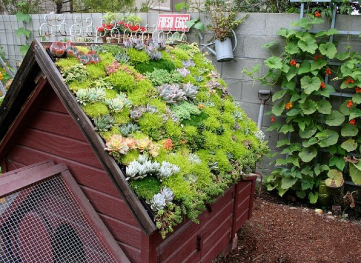 Illustration de l'article : 63 idées pour changer totalement la décoration de votre jardin