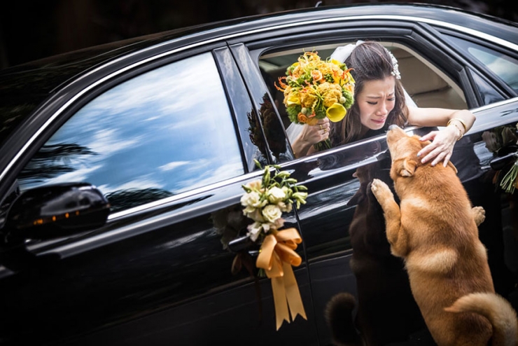 Illustration de l'article : 50 idées pour réaliser les meilleures photos de mariage