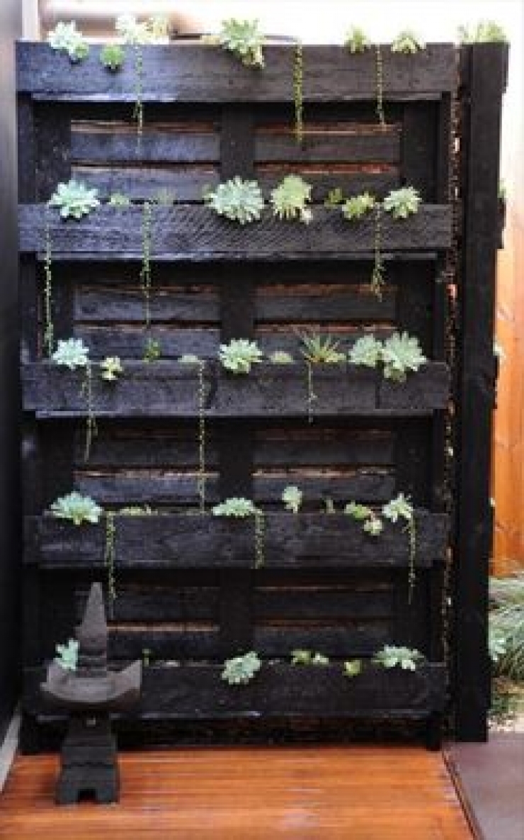 Illustration de l'article : 63 idées pour changer totalement la décoration de votre jardin