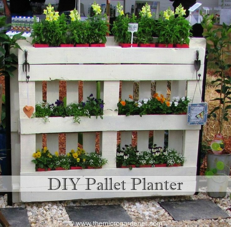 Illustration de l'article : 63 idées pour changer totalement la décoration de votre jardin