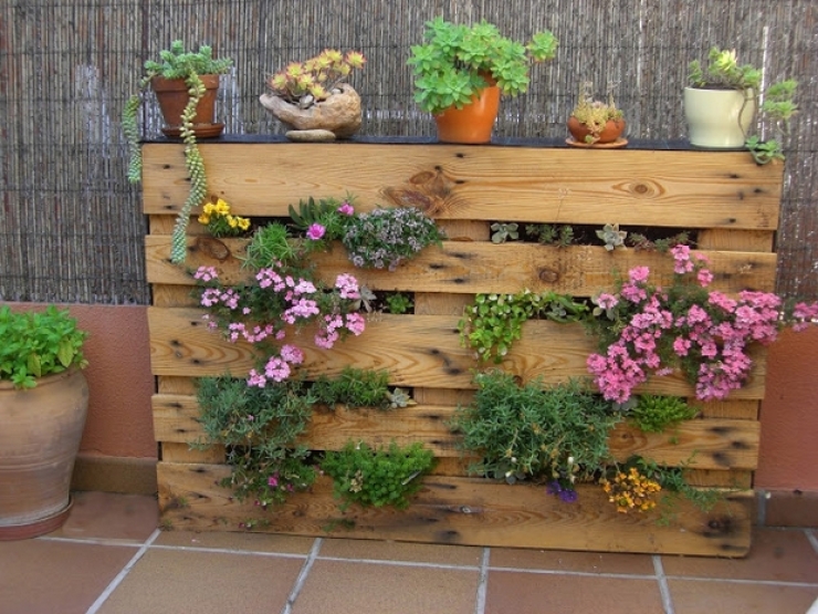 Illustration de l'article : 63 idées pour changer totalement la décoration de votre jardin