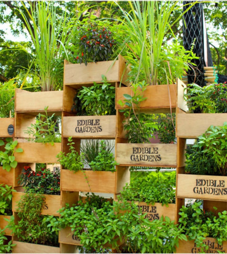 Illustration de l'article : 63 idées pour changer totalement la décoration de votre jardin