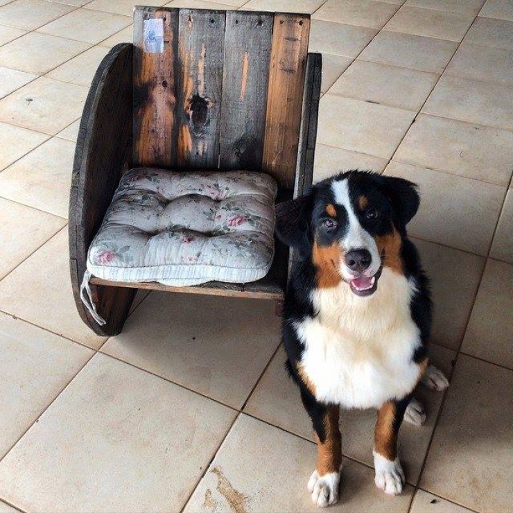 Illustration de l'article : Recyclez vos palettes grâce à ces 42 idées originales et astucieuses