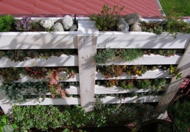 Illustration de l'article : 63 idées pour changer totalement la décoration de votre jardin