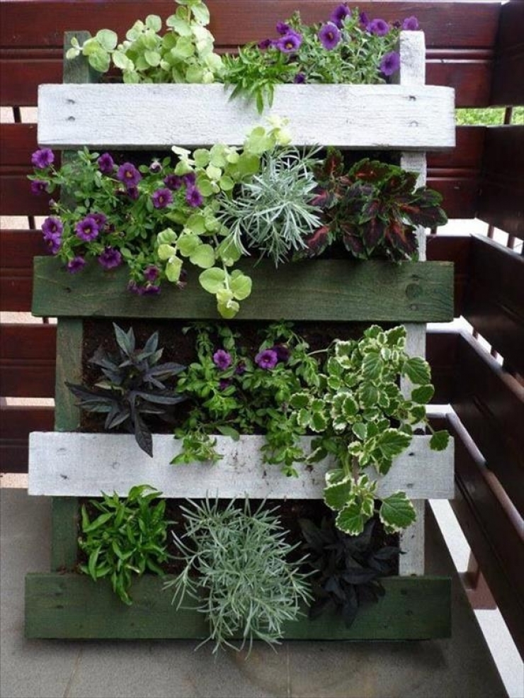 Illustration de l'article : 63 idées pour changer totalement la décoration de votre jardin