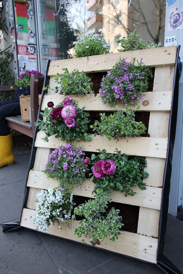Illustration de l'article : 63 idées pour changer totalement la décoration de votre jardin