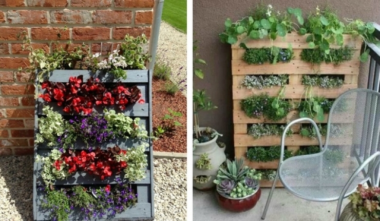 Illustration de l'article : 63 idées pour changer totalement la décoration de votre jardin