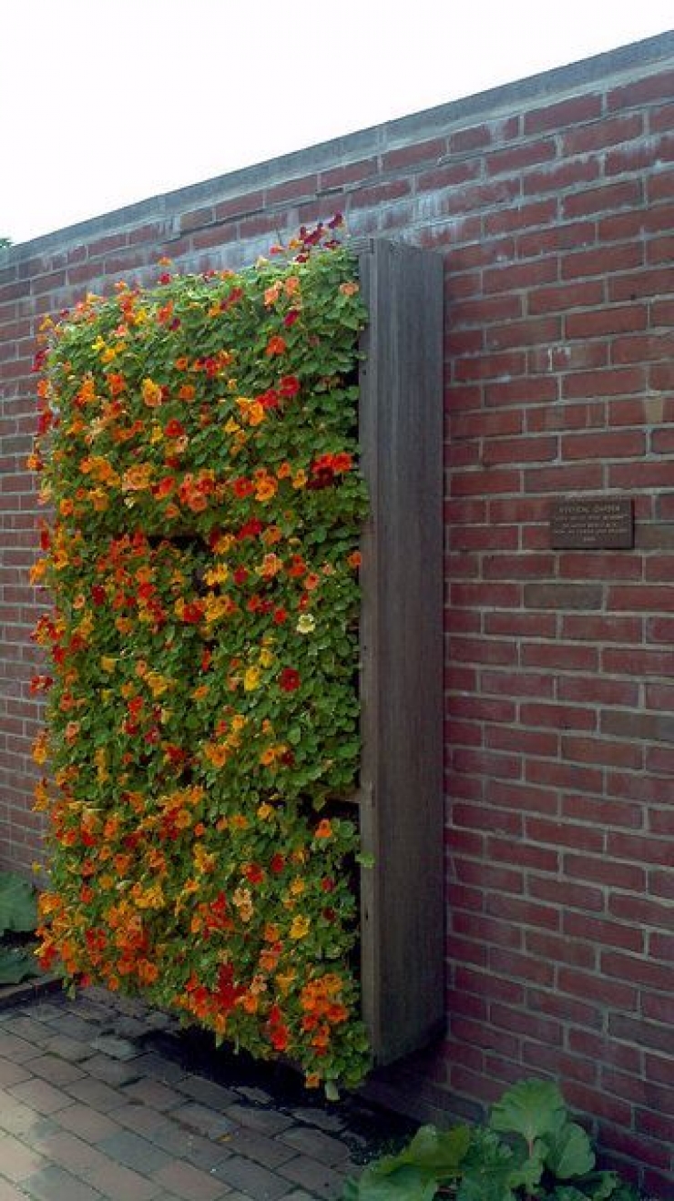 Illustration de l'article : 63 idées pour changer totalement la décoration de votre jardin