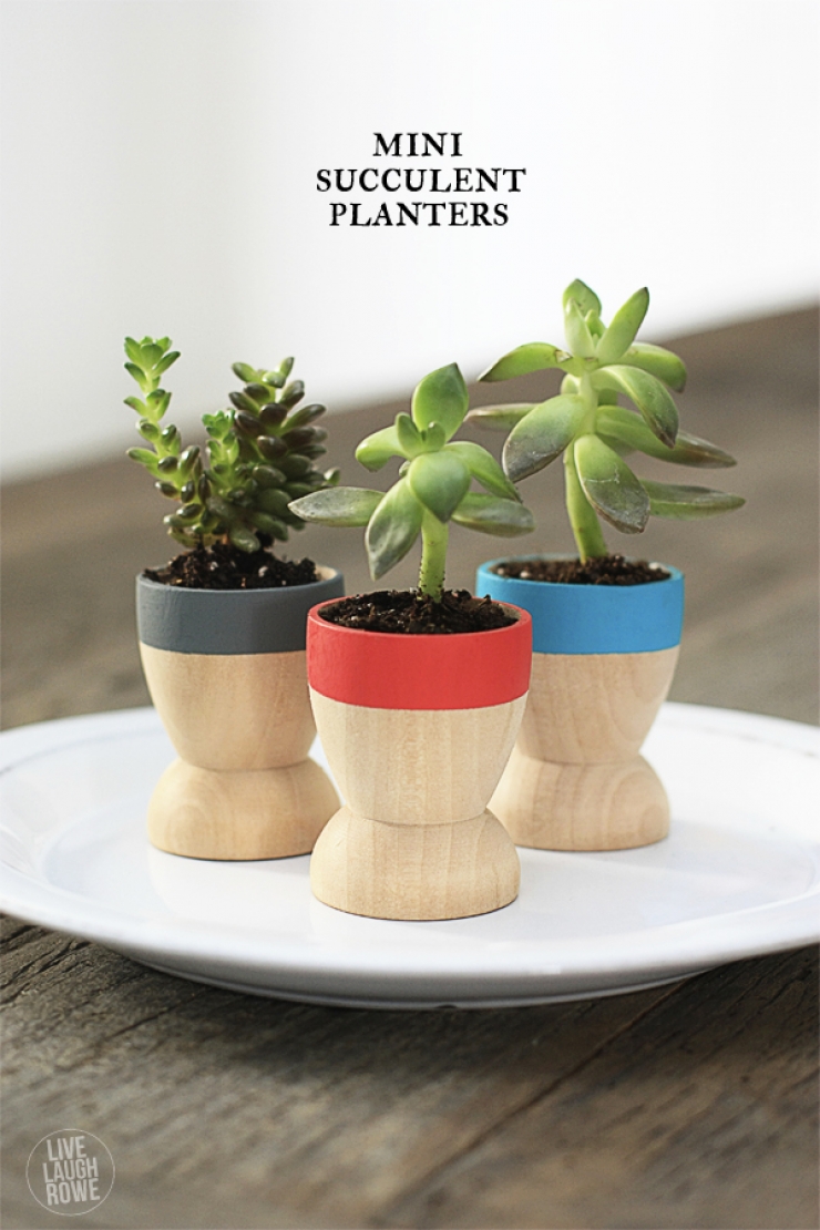 Illustration de l'article : 63 idées pour changer totalement la décoration de votre jardin