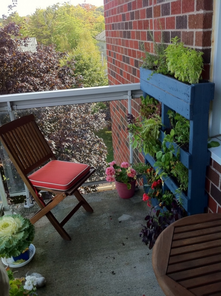 Illustration de l'article : 63 idées pour changer totalement la décoration de votre jardin