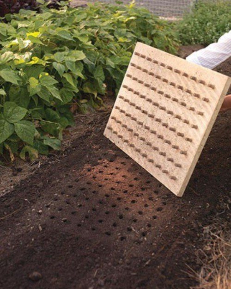 Illustration de l'article : 63 idées pour changer totalement la décoration de votre jardin