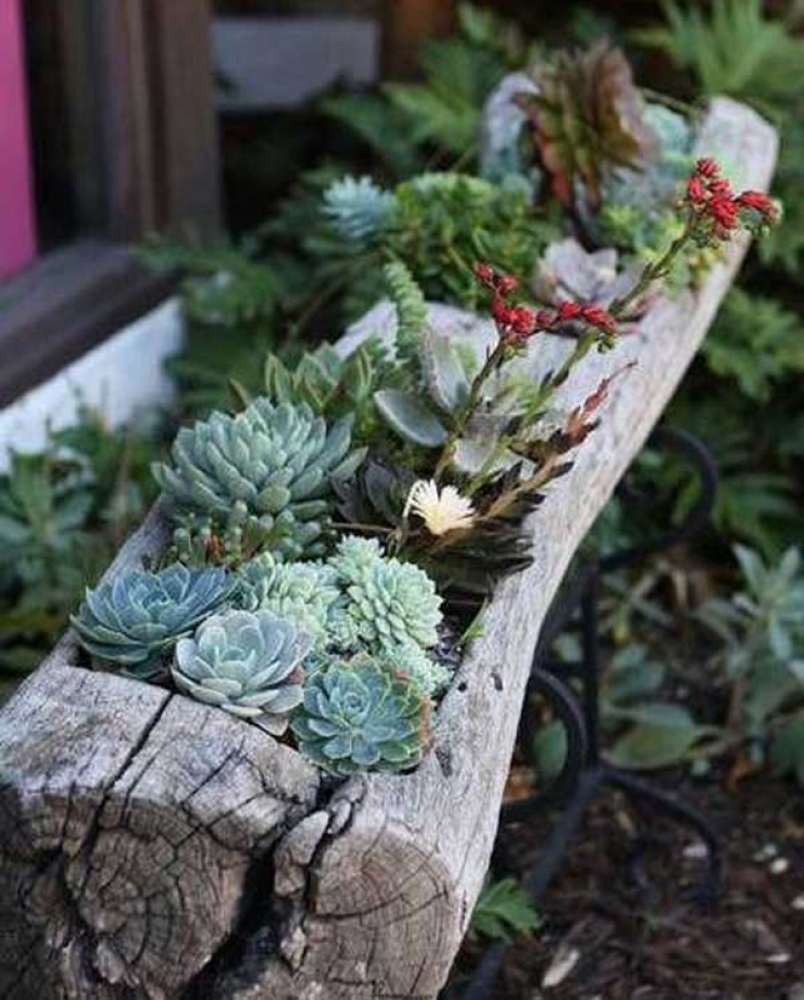 Illustration de l'article : 63 idées pour changer totalement la décoration de votre jardin