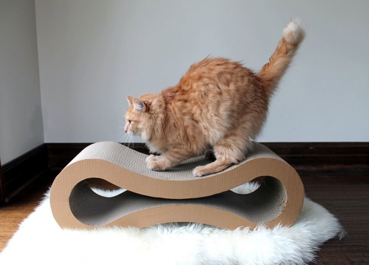 25 Astuces Originales Que Votre Chat Va Adorer 25 Astuces Originales Que Votre Chat Va Adorer
