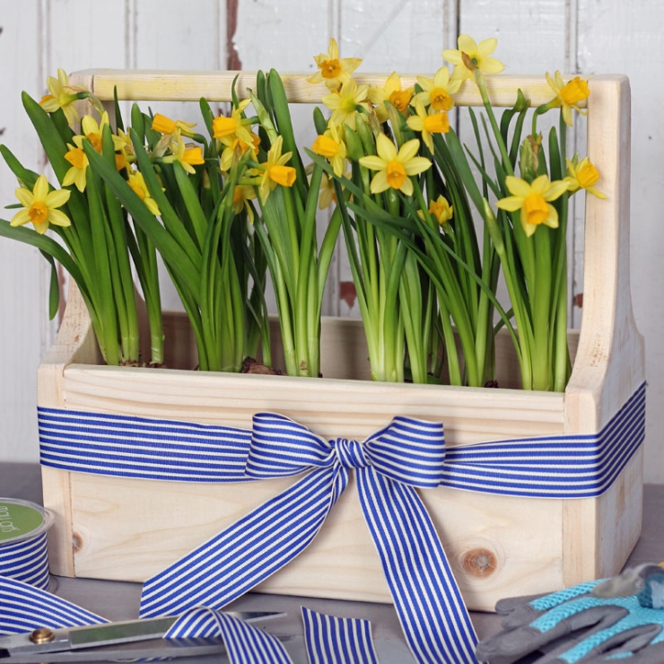 Illustration de l'article : 63 idées pour changer totalement la décoration de votre jardin