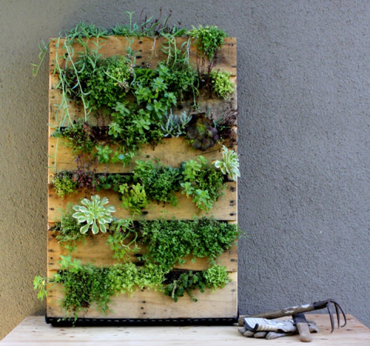 Illustration de l'article : 63 idées pour changer totalement la décoration de votre jardin