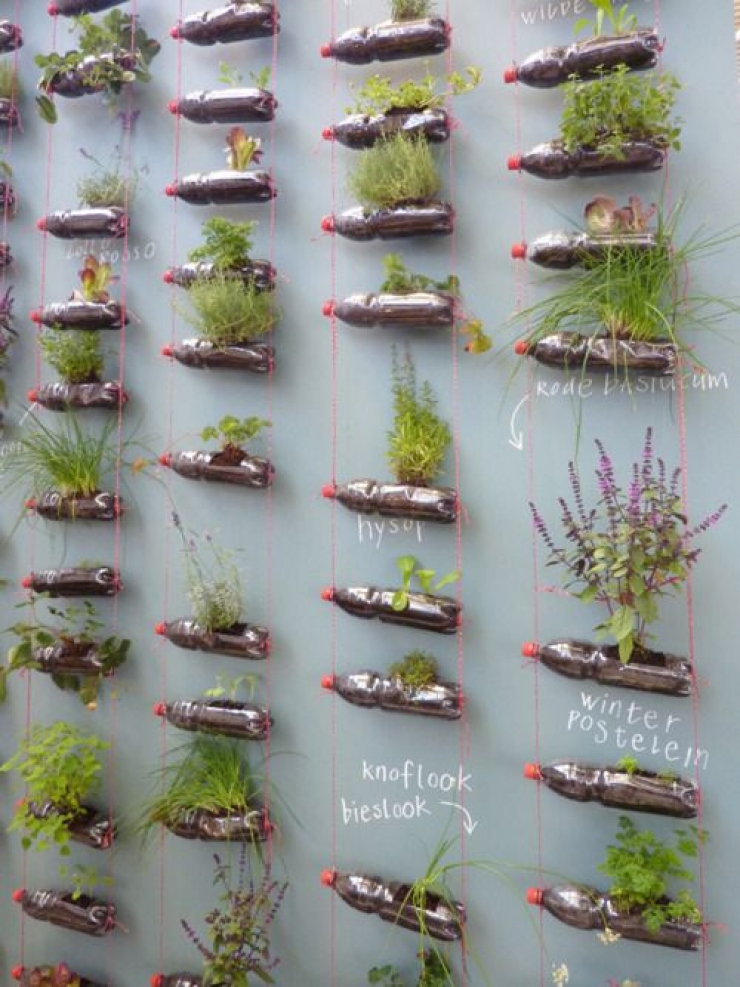Illustration de l'article : 63 idées pour changer totalement la décoration de votre jardin